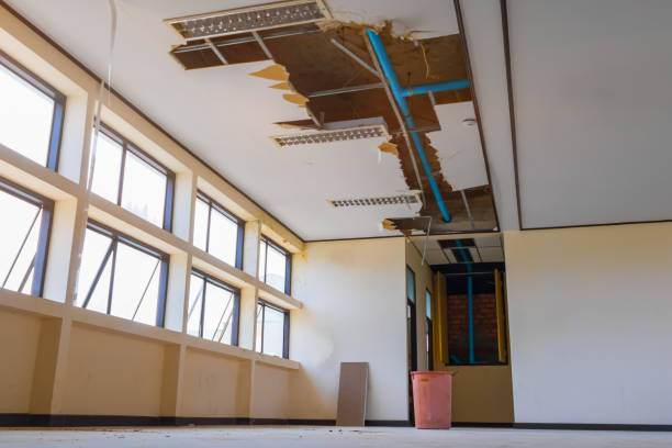 Best Water damage contractors near me  in District Heights, MD