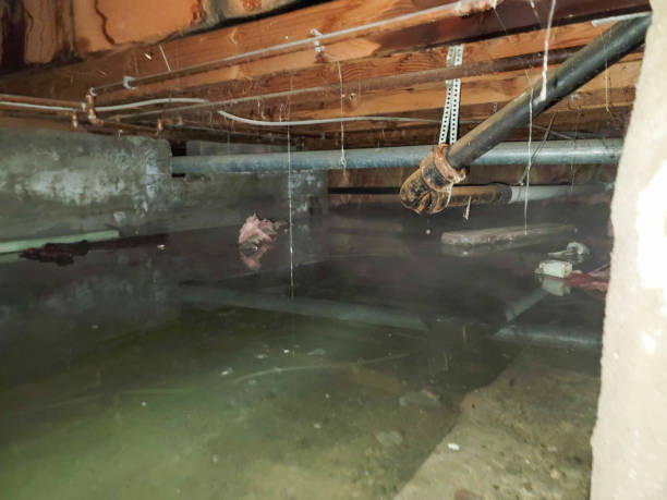 Best Commercial water damage restoration  in District Heights, MD