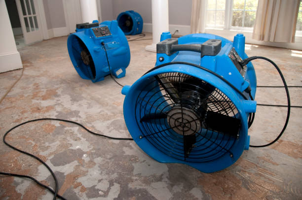 Best Water damage contractors near me  in District Heights, MD