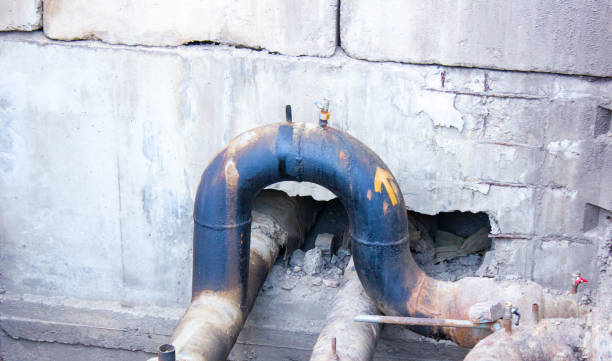 Best Local water damage restoration  in District Heights, MD