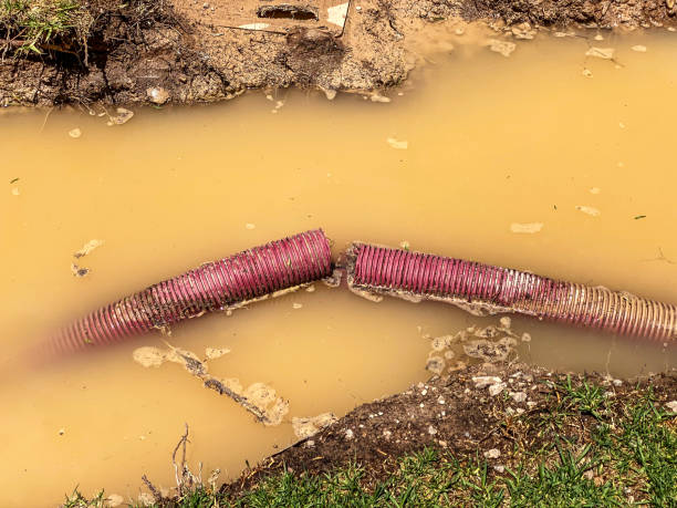 Best 24/7 water damage repair  in District Heights, MD